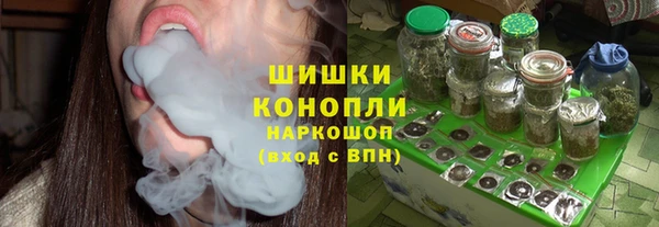 соль ск Новозыбков