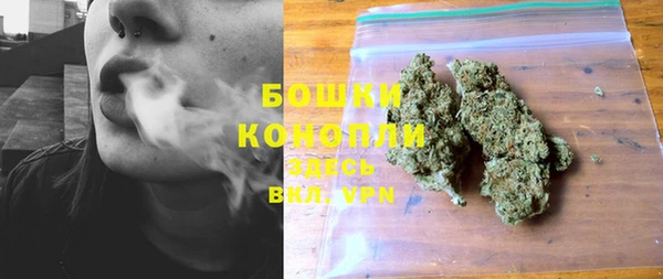 соль ск Новозыбков