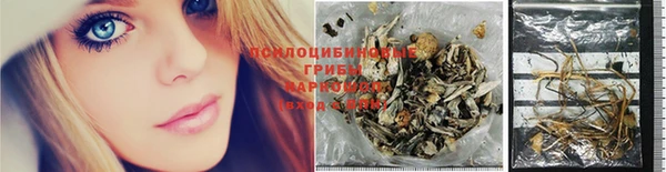 синтетический гашиш Новодвинск