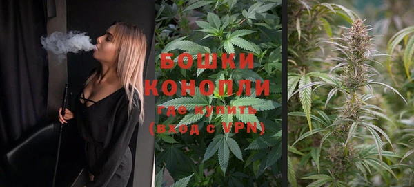 кокс Новокубанск
