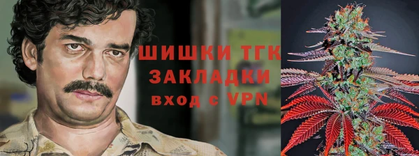 соль ск Новозыбков